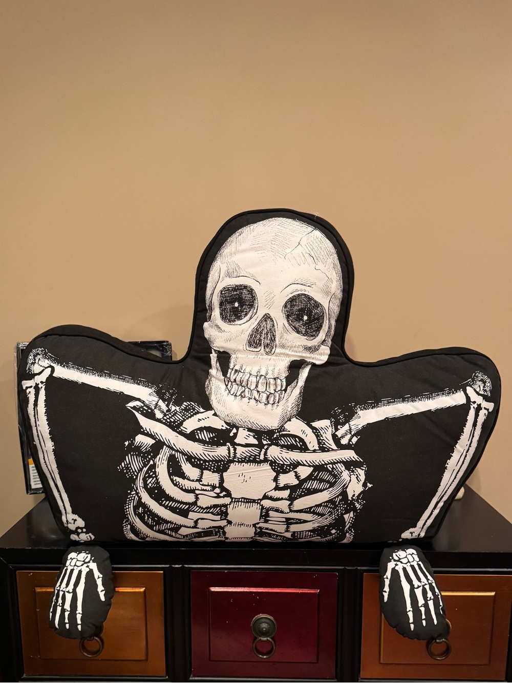 Skeleton Light Up Decorative Pillow